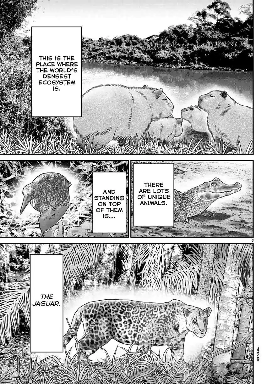 C.M.B. Vol. 42 Ch. 139.1 Forest of Jaguar (Part 1)