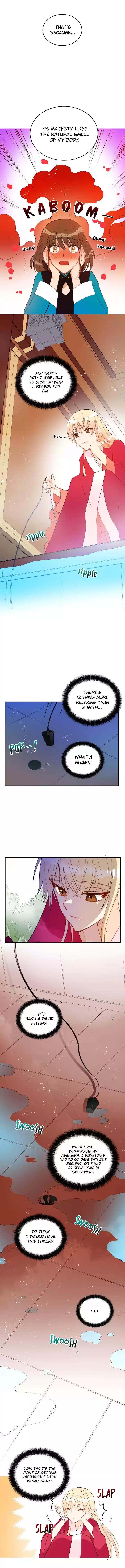 Contract Concubine Ch. 11