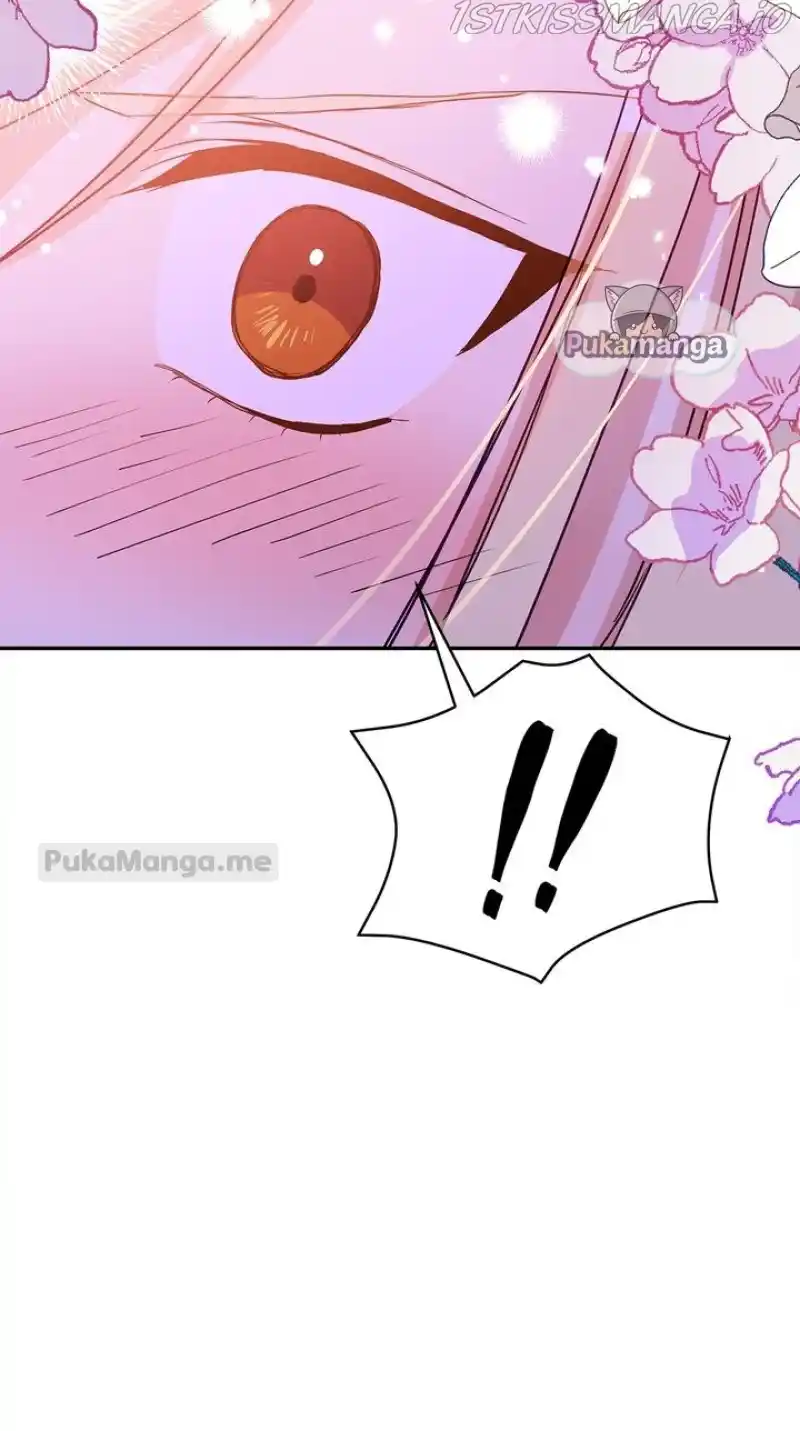 Contract Concubine Chapter 118