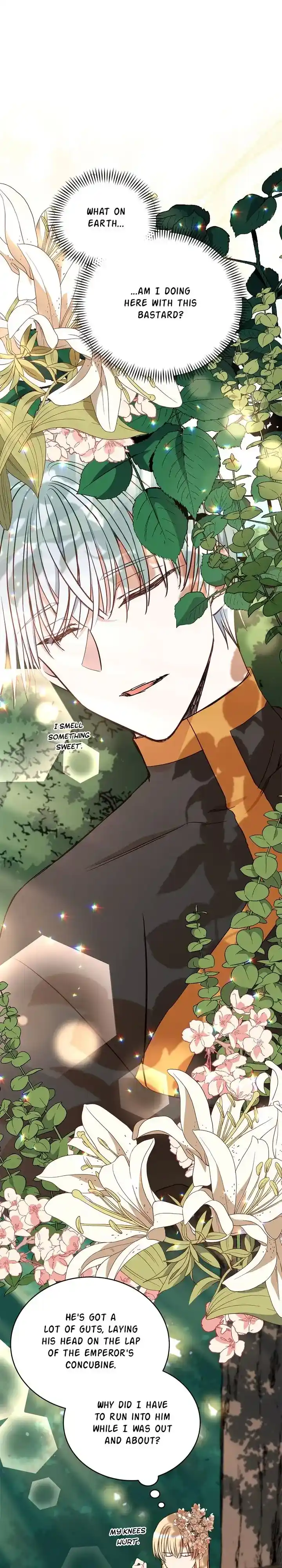 Contract Concubine Chapter 126