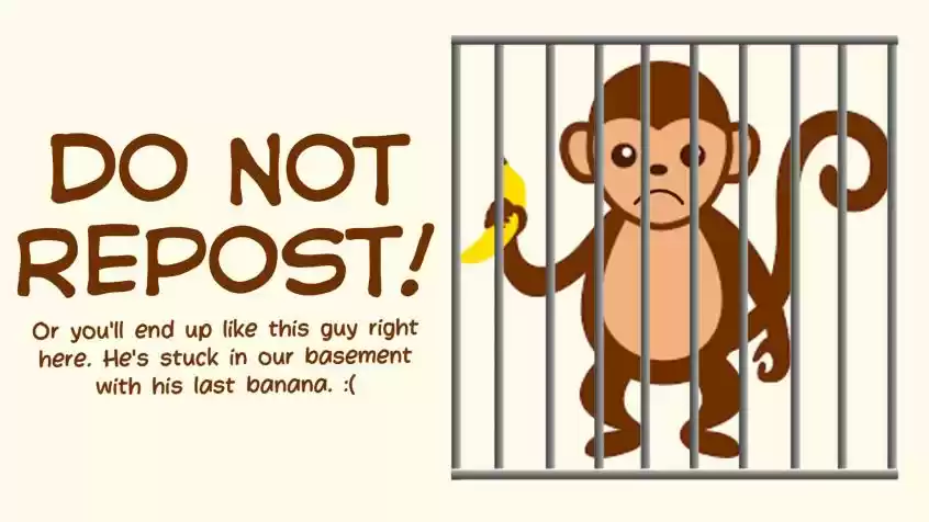 Contract Concubine Chapter 62