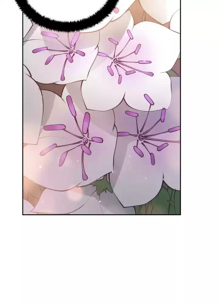 Contract Concubine Chapter 62