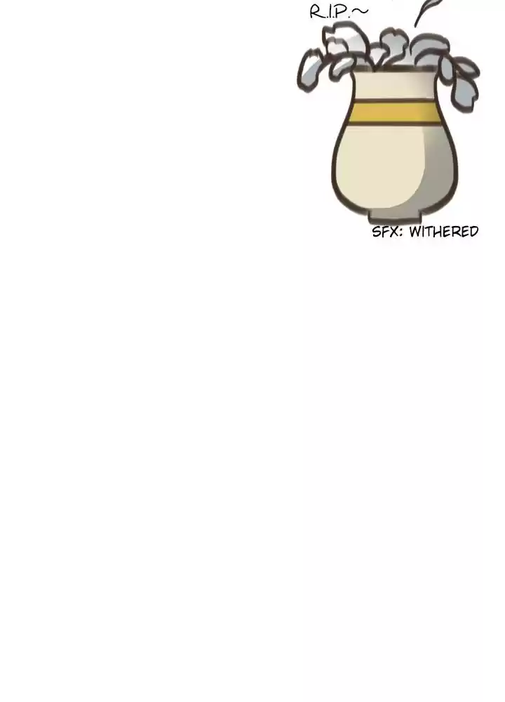 Contract Concubine Chapter 62