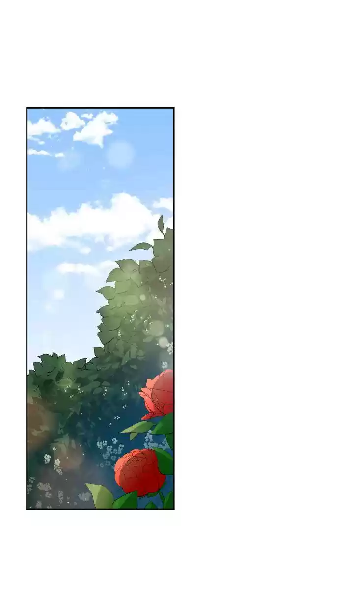 Contract Concubine Chapter 65