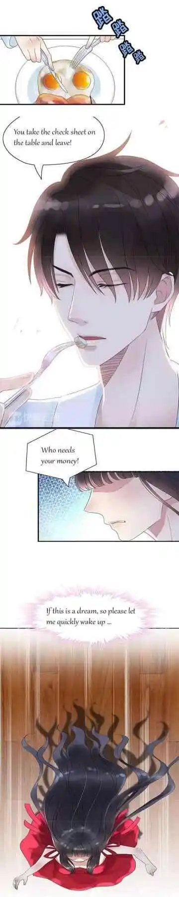 Contract Wife Runs Away From The Ceo Chapter 1