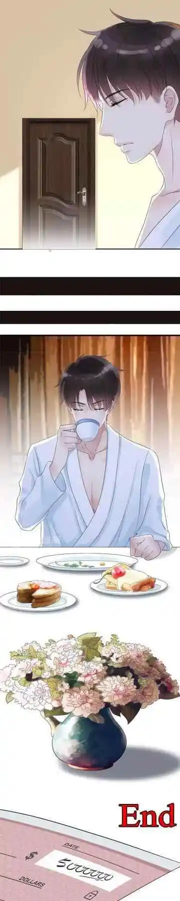 Contract Wife Runs Away From The Ceo Chapter 1