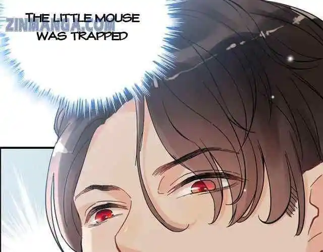 Contract Wife Runs Away From The Ceo Chapter 107