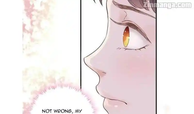 Contract Wife Runs Away From The Ceo Chapter 12