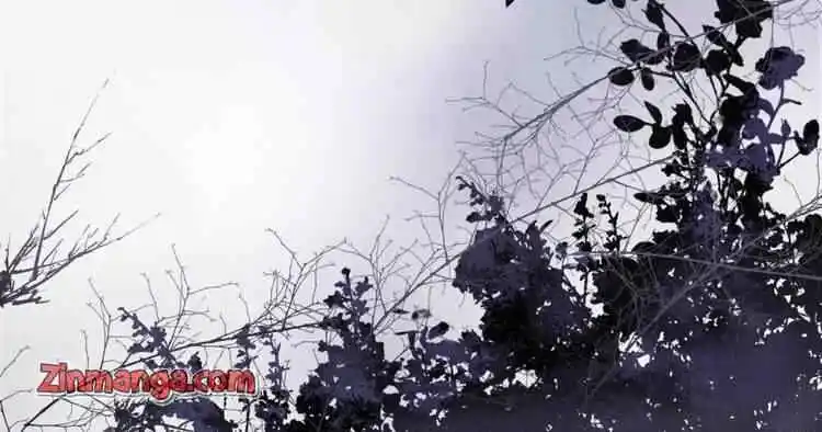 Contract Wife Runs Away From The Ceo Chapter 127