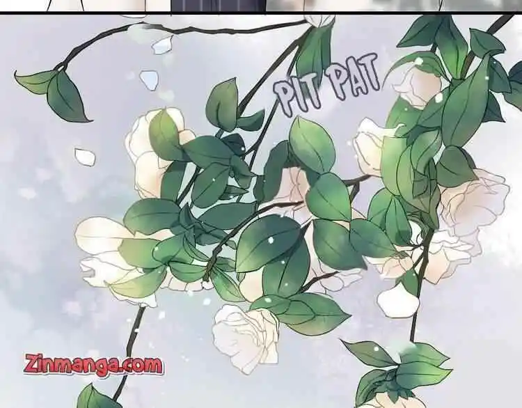 Contract Wife Runs Away From The Ceo Chapter 128