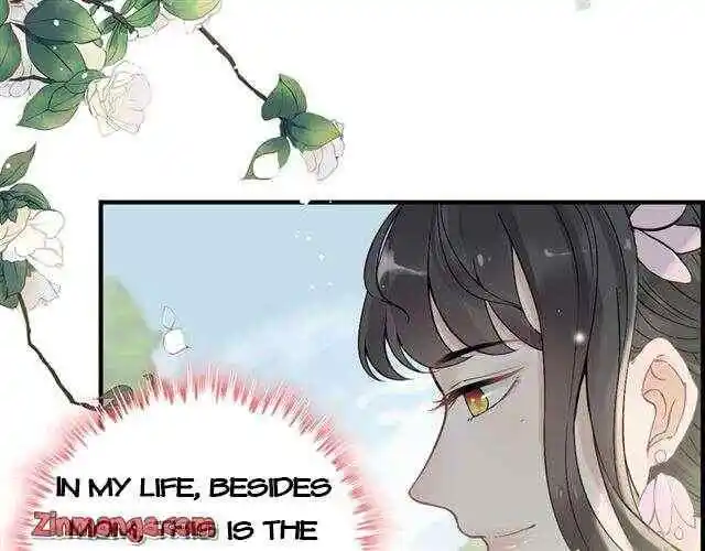 Contract Wife Runs Away From The Ceo Chapter 135