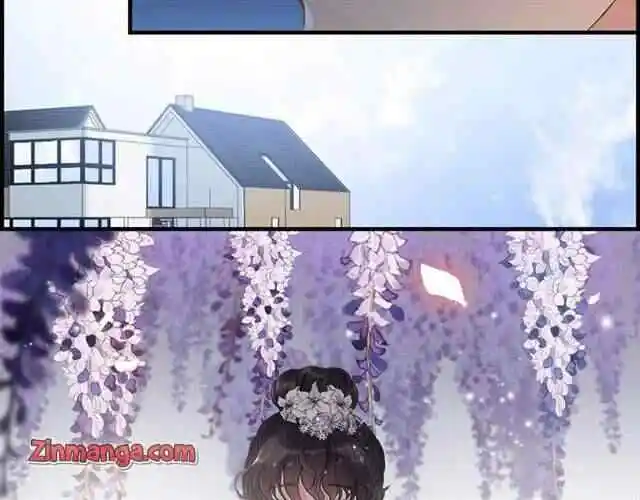 Contract Wife Runs Away From The Ceo Chapter 136