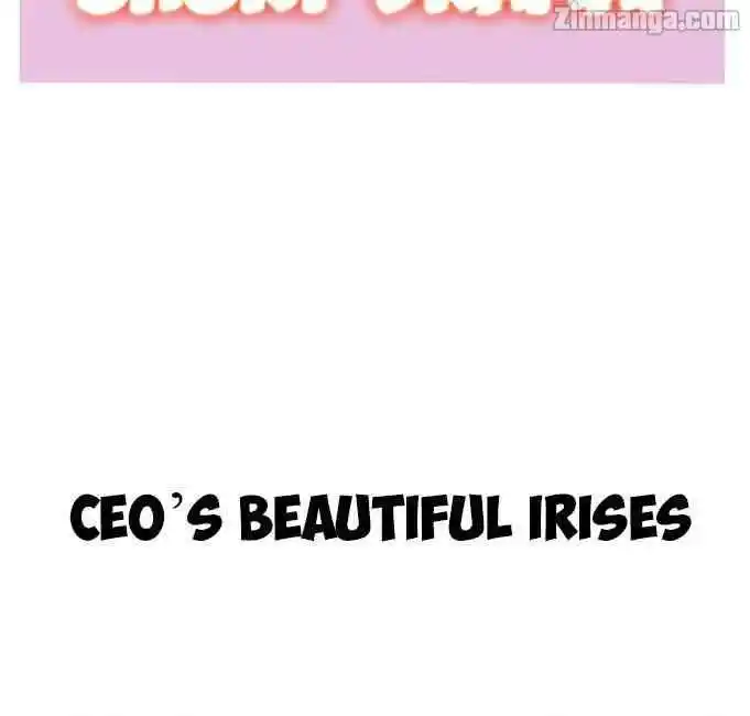 Contract Wife Runs Away From The Ceo Chapter 14