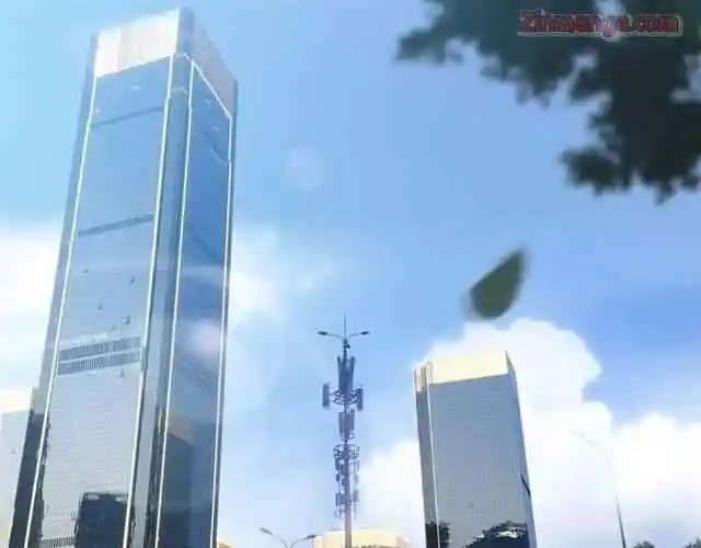 Contract Wife Runs Away From The Ceo Chapter 149