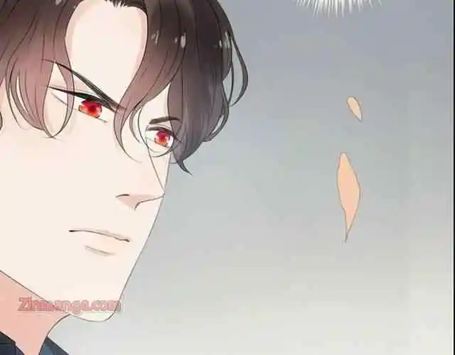 Contract Wife Runs Away From The Ceo Chapter 155