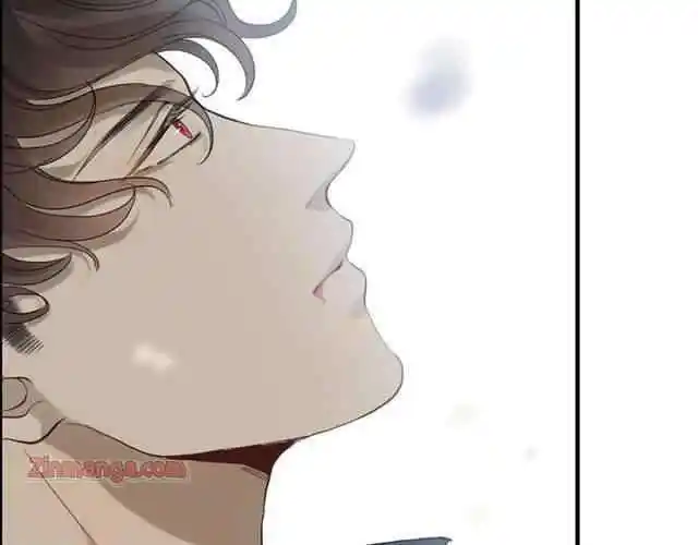 Contract Wife Runs Away From The Ceo Chapter 155