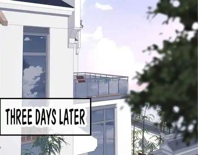 Contract Wife Runs Away From The Ceo Chapter 156