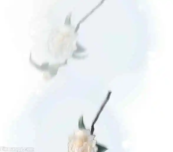 Contract Wife Runs Away From The Ceo Chapter 160