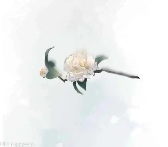 Contract Wife Runs Away From The Ceo Chapter 160