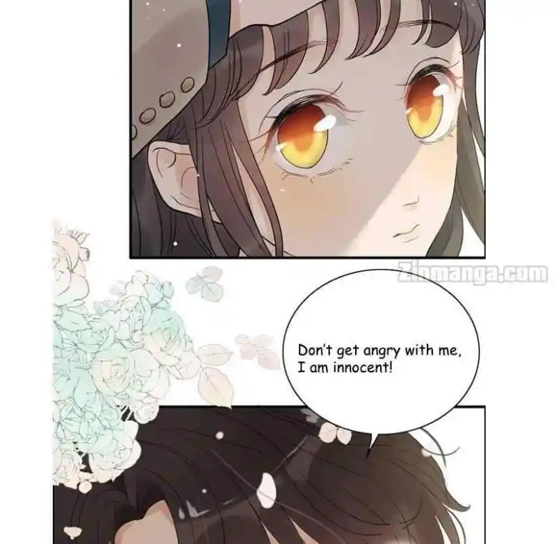 Contract Wife Runs Away From The Ceo Chapter 164