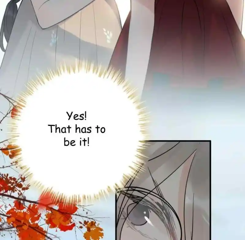 Contract Wife Runs Away From The Ceo Chapter 205