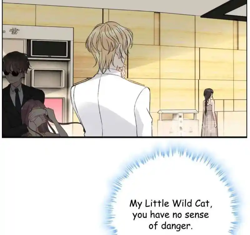 Contract Wife Runs Away From The Ceo Chapter 206