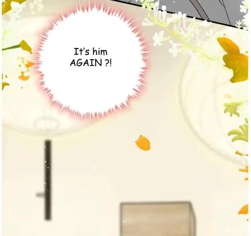 Contract Wife Runs Away From The Ceo Chapter 206