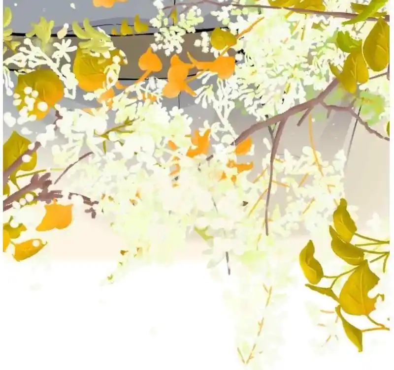 Contract Wife Runs Away From The Ceo Chapter 206