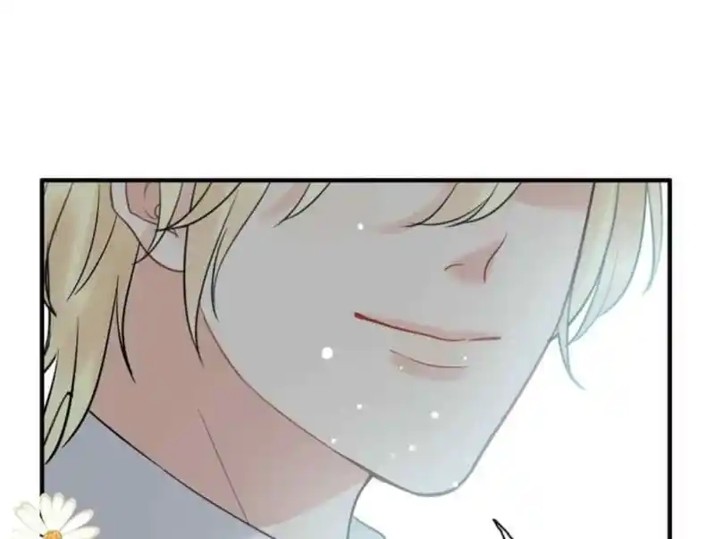 Contract Wife Runs Away From The Ceo Chapter 209