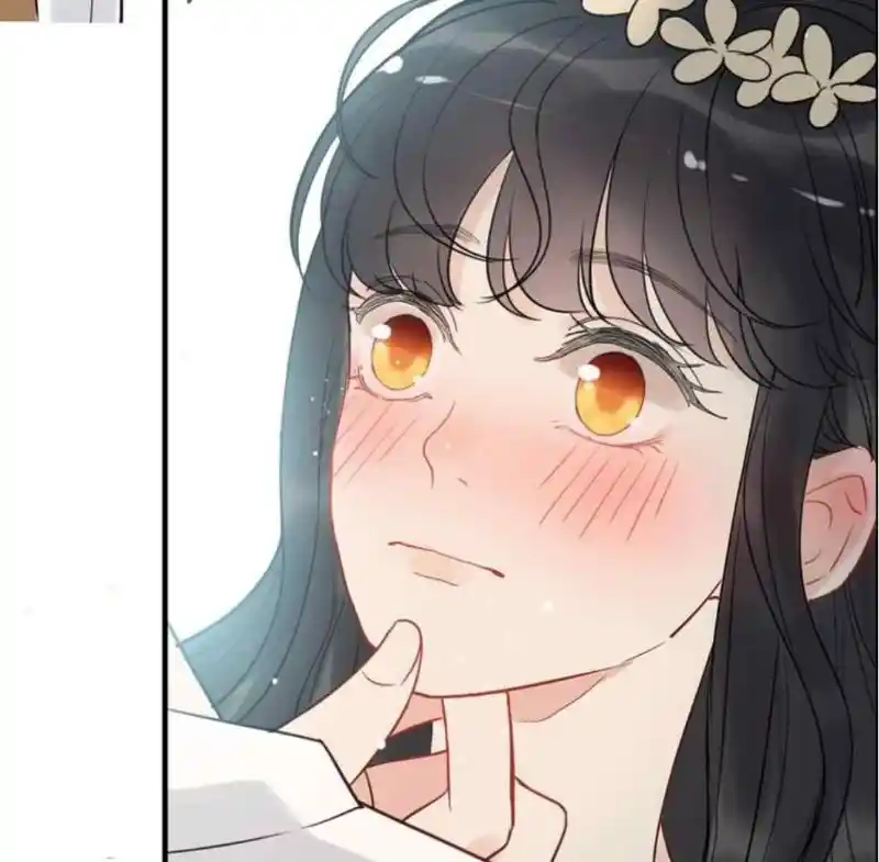 Contract Wife Runs Away From The Ceo Chapter 210