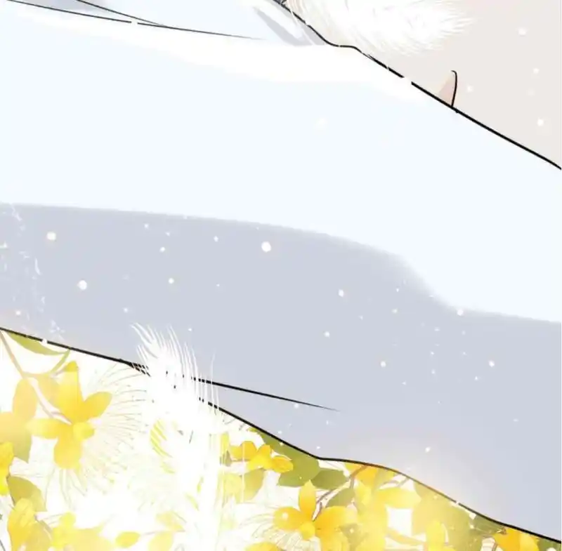 Contract Wife Runs Away From The Ceo Chapter 210