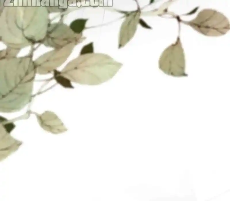 Contract Wife Runs Away From The Ceo Chapter 210