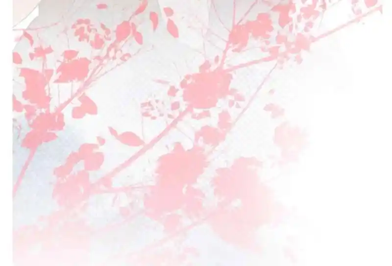 Contract Wife Runs Away From The Ceo Chapter 212