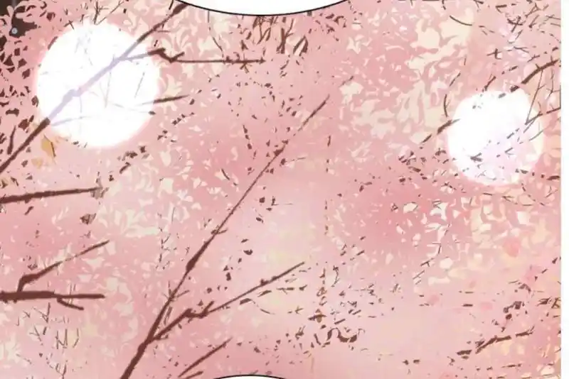 Contract Wife Runs Away From The Ceo Chapter 213