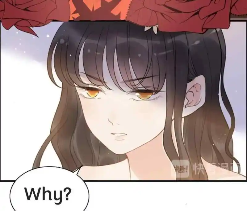 Contract Wife Runs Away From The Ceo Chapter 213