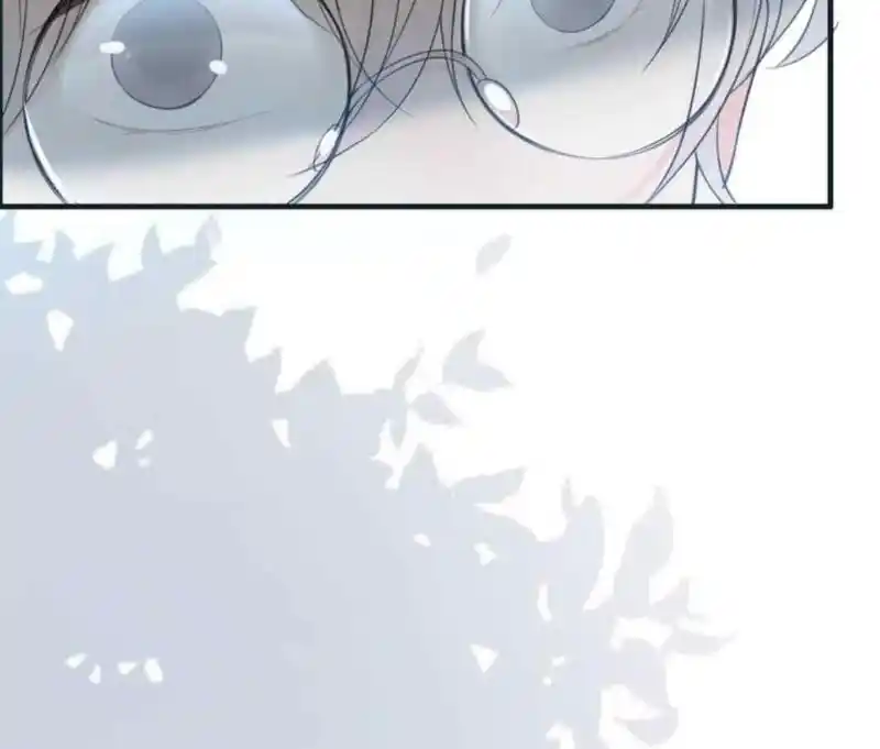 Contract Wife Runs Away From The Ceo Chapter 213