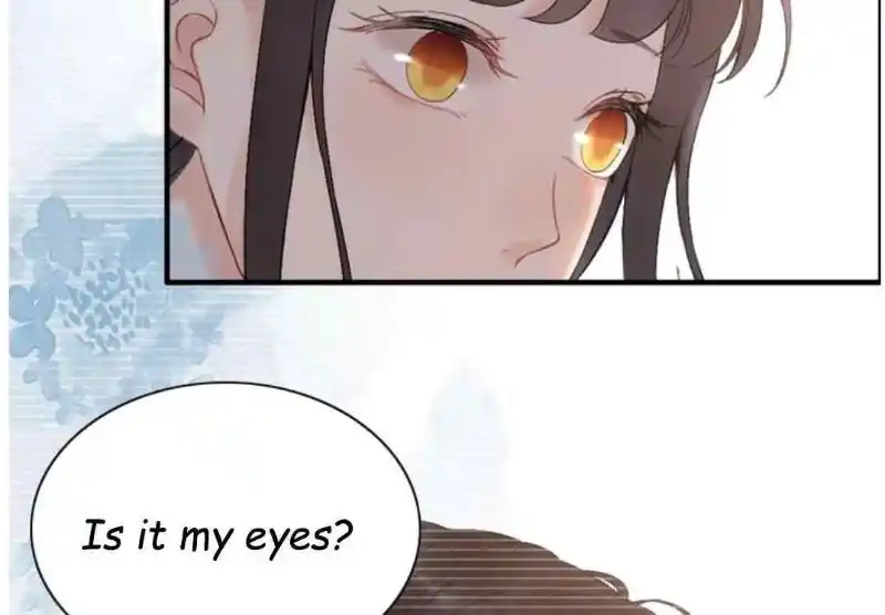 Contract Wife Runs Away From The Ceo Chapter 214