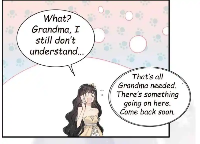 Contract Wife Runs Away From The Ceo Chapter 215