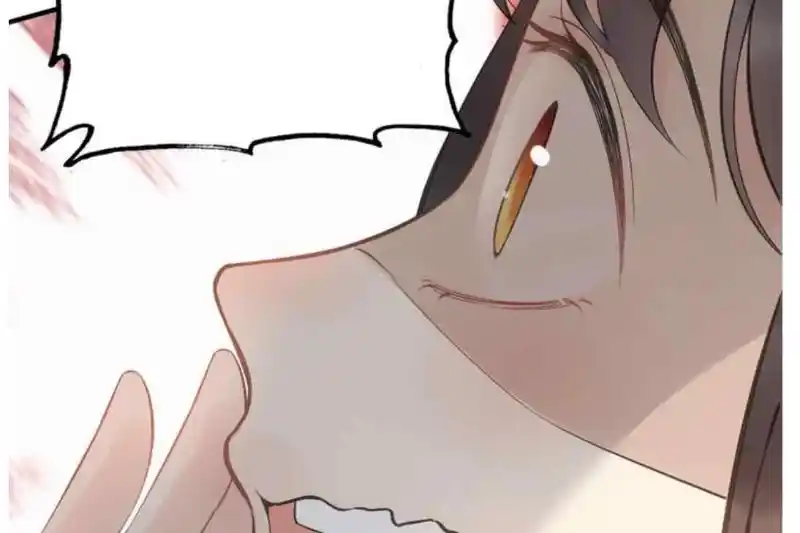 Contract Wife Runs Away From The Ceo Chapter 215