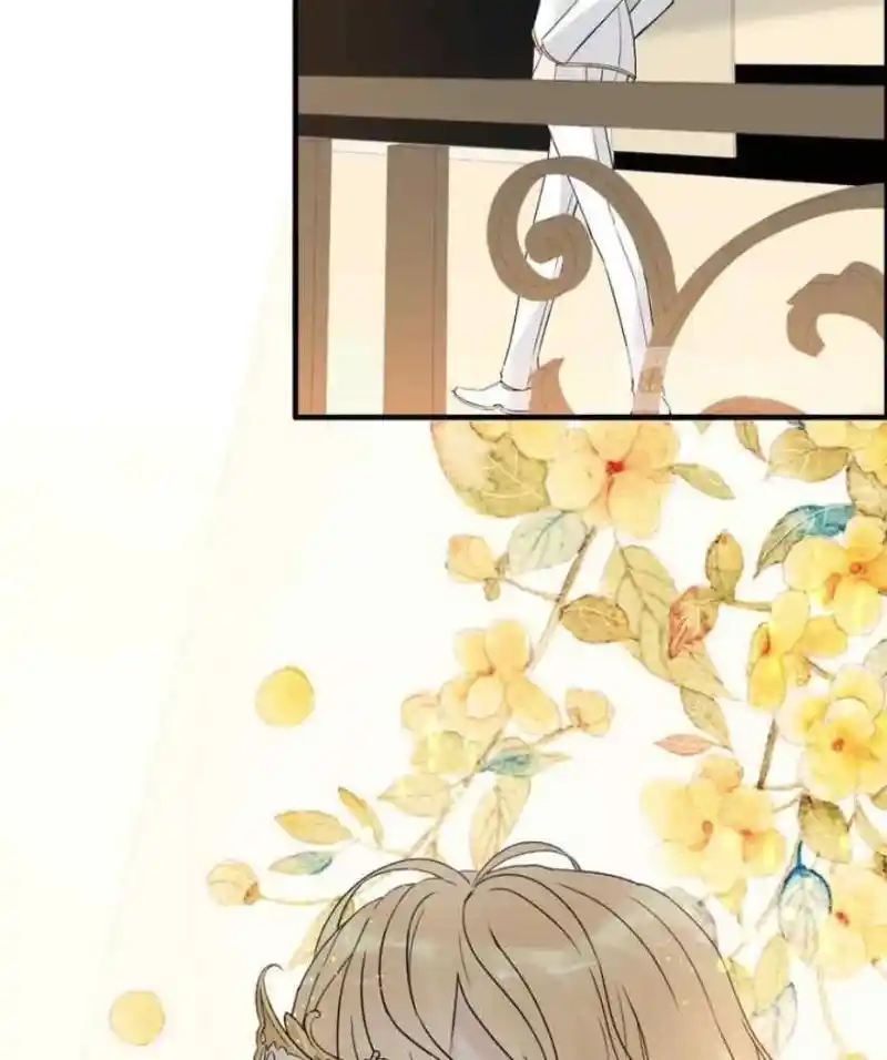 Contract Wife Runs Away From The Ceo Chapter 217