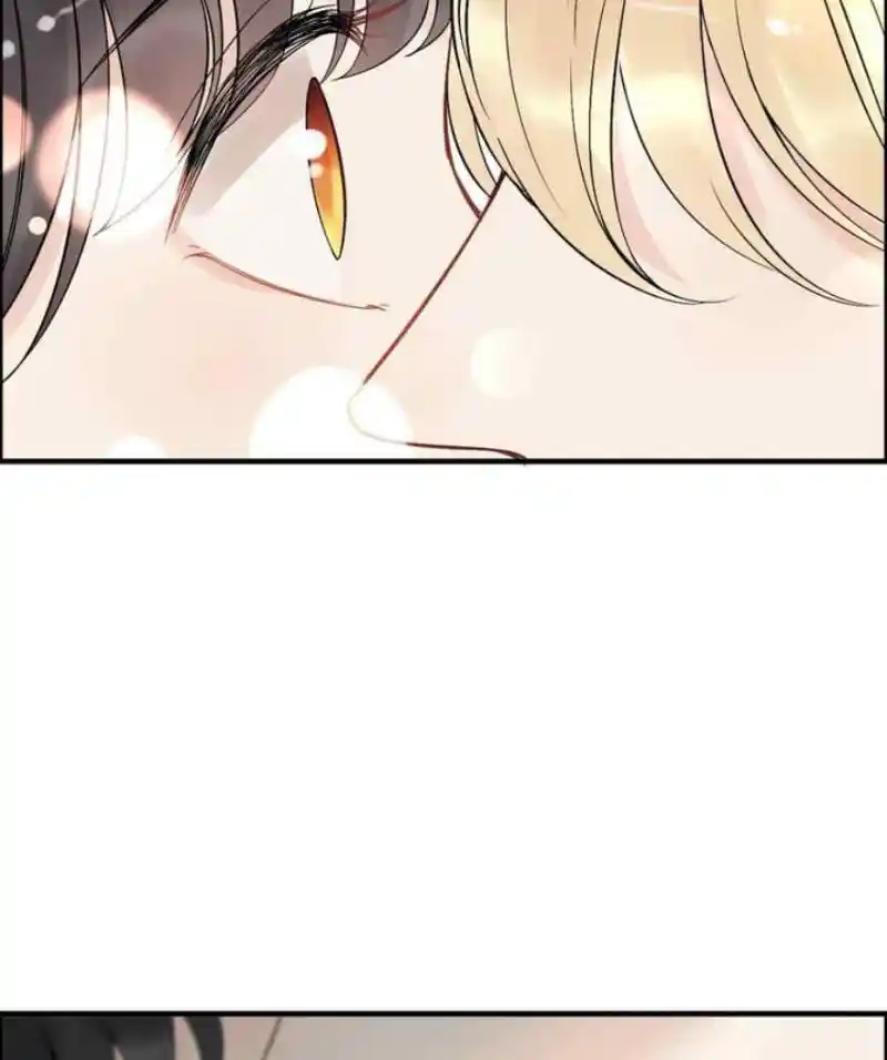 Contract Wife Runs Away From The Ceo Chapter 217