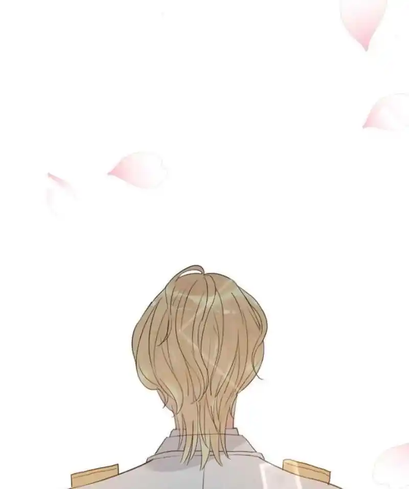 Contract Wife Runs Away From The Ceo Chapter 217