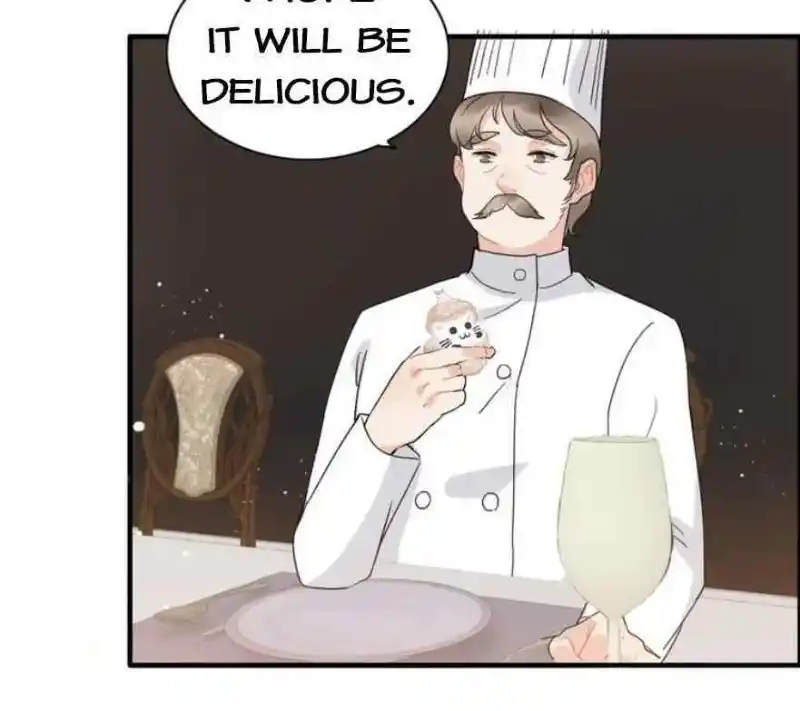 Contract Wife Runs Away From The Ceo Chapter 218