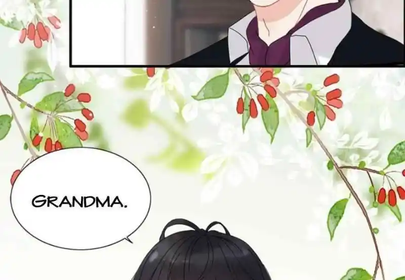 Contract Wife Runs Away From The Ceo Chapter 224