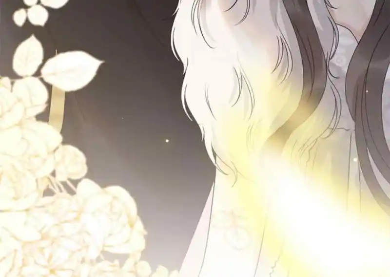 Contract Wife Runs Away From The Ceo Chapter 228