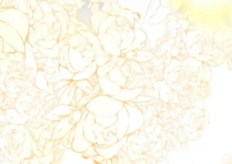 Contract Wife Runs Away From The Ceo Chapter 228