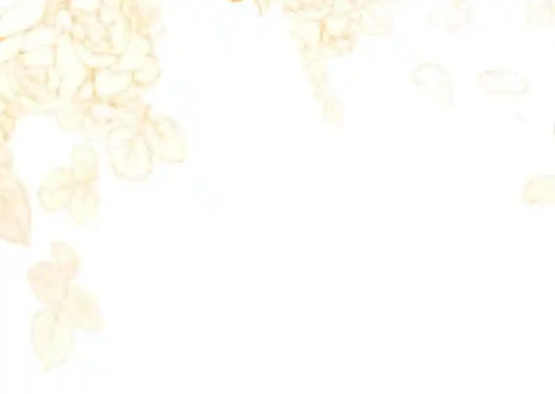 Contract Wife Runs Away From The Ceo Chapter 228