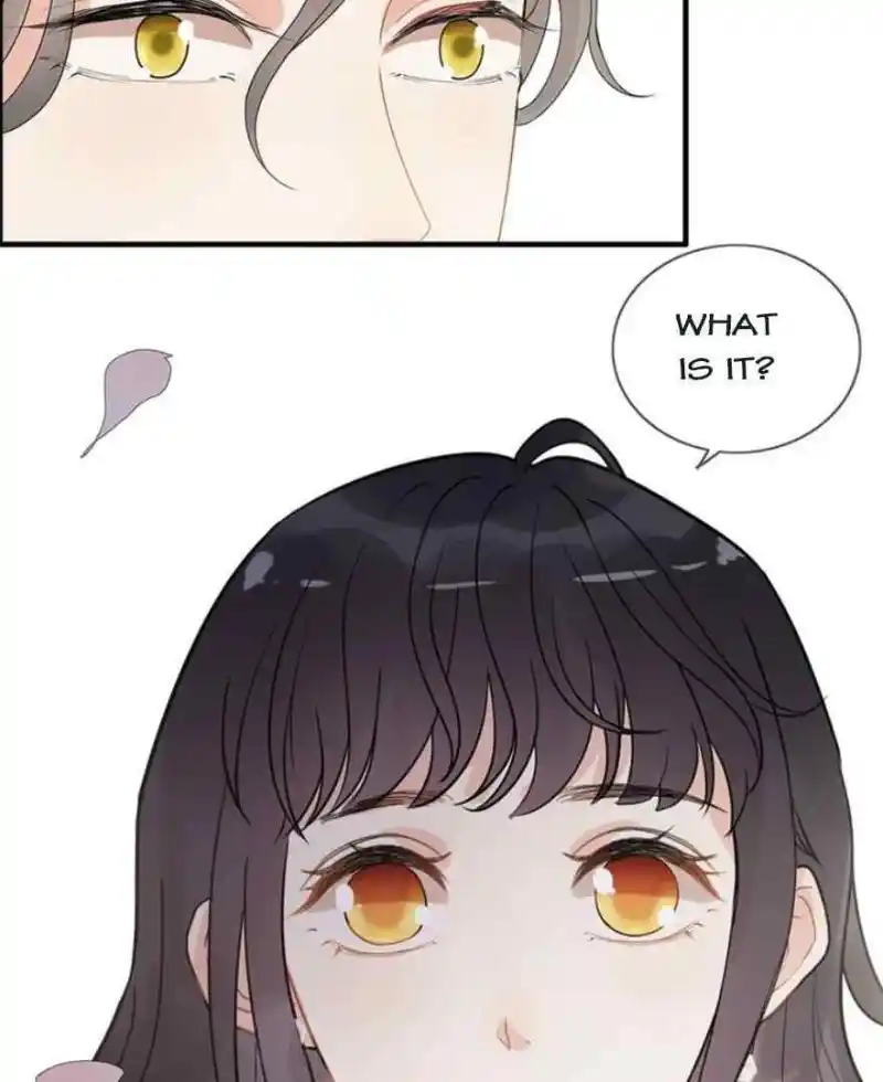 Contract Wife Runs Away From The Ceo Chapter 229