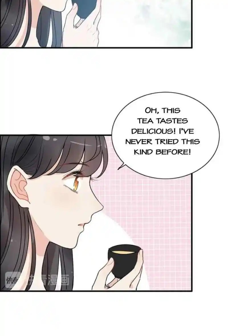 Contract Wife Runs Away From The Ceo Chapter 235