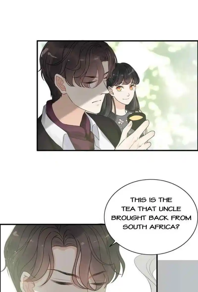 Contract Wife Runs Away From The Ceo Chapter 235